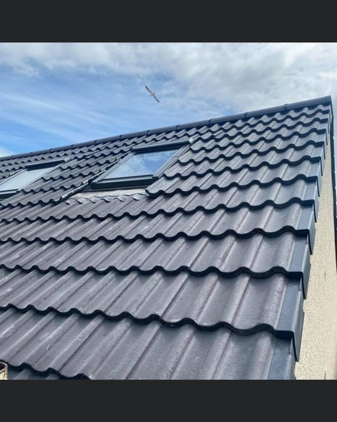 Asphalt Shingle Roof Replacement